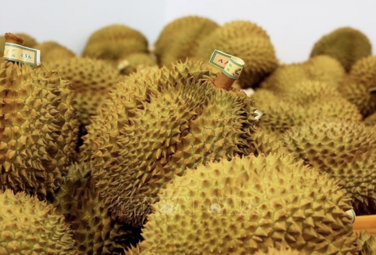 Vietnam’s fruit, vegetable exports regain growth momentum